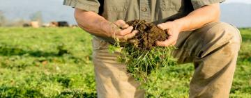 La agroecología, un camino hacia la agricultura sustentable