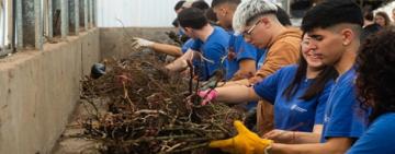 El municipio renovó El Rosedal con la plantación de 530 nuevos ejemplares
