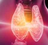 Día Mundial del Cáncer de Tiroides. A pesar de su pequeño tamaño, su impacto en la salud es inmenso