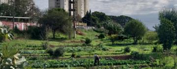 En común 2023 aportes de la Agroecología a la resiliencia de las ciudades