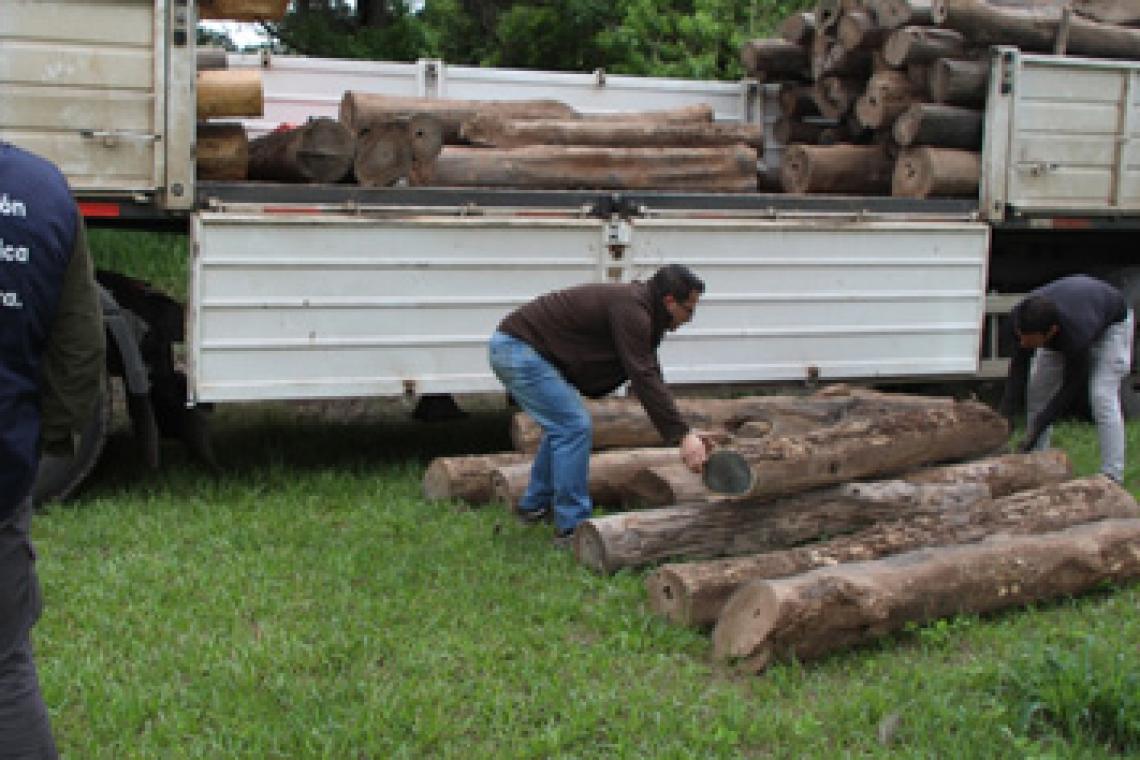 Incautaron un cargamento de 210 rollos de despunte de Palo Santo