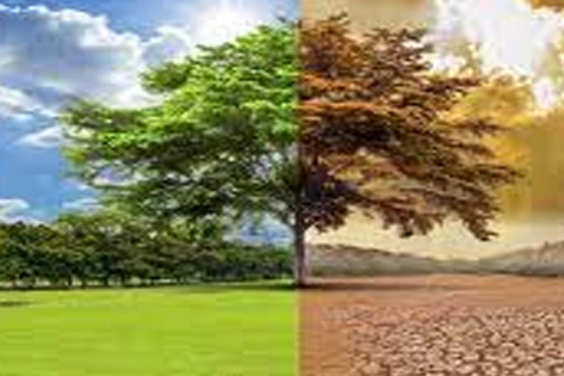 ONU: se agotan fondos para enfrentar el calentamiento global