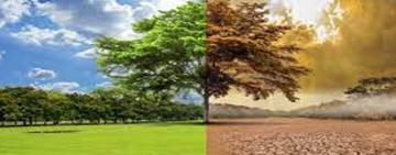 ONU: se agotan fondos para enfrentar el calentamiento global