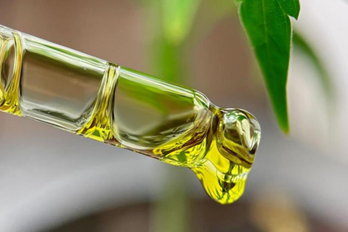 Destacan el uso de cannabis medicinal para el tratamiento de la ansiedad y Parkinson