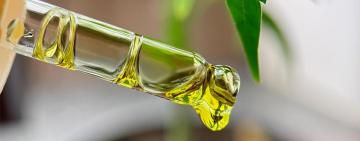 Destacan el uso de cannabis medicinal para el tratamiento de la ansiedad y Parkinson