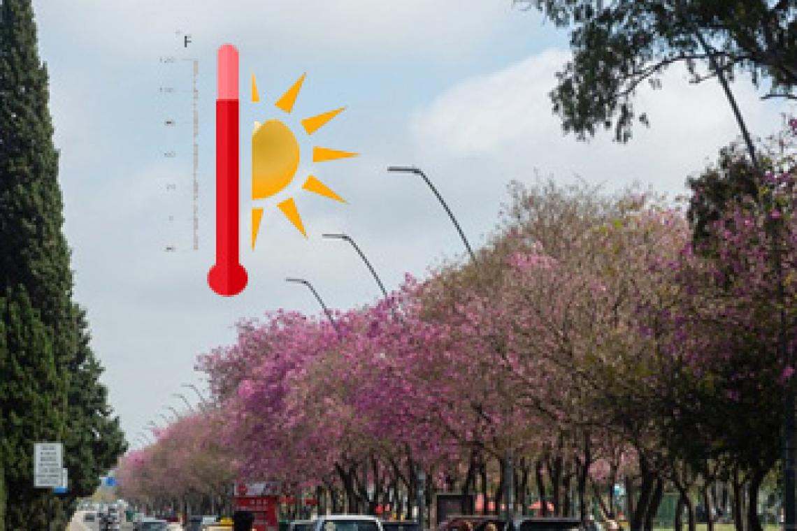 Al horno: alerta por olas de calor "extremo" para el verano en la Argentina