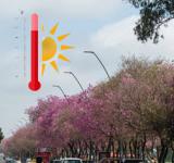 Al horno: alerta por olas de calor "extremo" para el verano en la Argentina