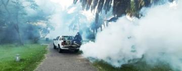 El Municipio refuerza operativos de fumigación y desmalezado en toda la ciudad