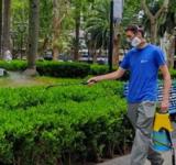 El municipio continúa con operativos de fumigación en espacios verdes