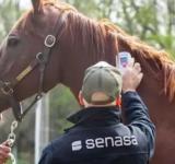 Se confirmó un caso humano de encefalitis equina del oeste