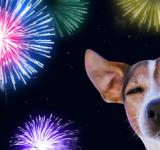 Fiestas sin pirotecnia: su uso perjudica a personas con autismo y a animales
