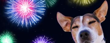 Fiestas sin pirotecnia: su uso perjudica a personas con autismo y a animales