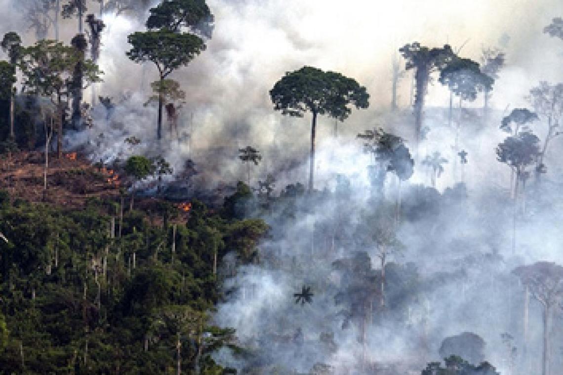 Los incendios en el Amazonas generaron un récord de emisiones de gases en Sudamérica
