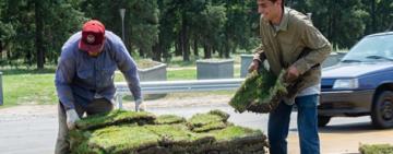 La Escuela Municipal de Jardinería dictará un taller sobre césped