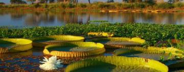 El Parque Nacional Islas de Santa Fe