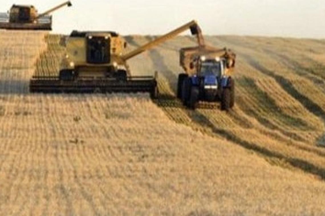 El sector triguero dice que se pueden alcanzar rendimientos récord en esta campaña