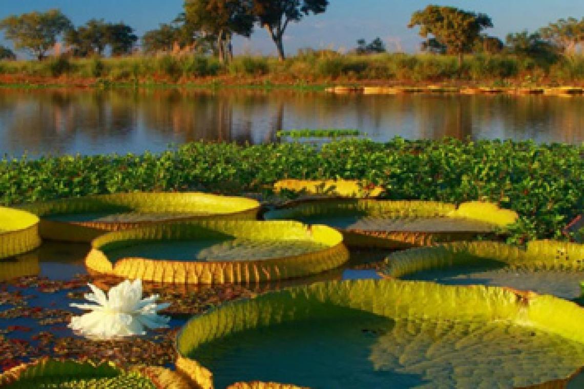 Buscan potenciar el desarrollo turístico de la Región Centro