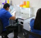 Empleo: cuáles son los sectores más atractivos para trabajar según los argentinos