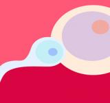 Día Mundial de la Fertilidad ¿Qué saber?