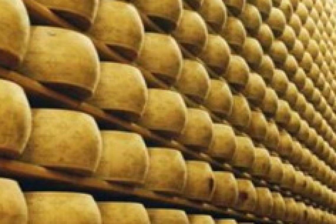 Rematan 680.000 kilos de quesos SanCor