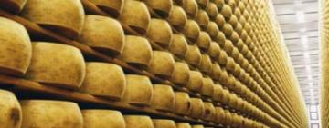 Rematan 680.000 kilos de quesos SanCor