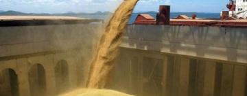 La venta de soja cayó 45% en junio