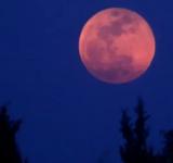La luna se aleja 4 centímetros por año de la Tierra