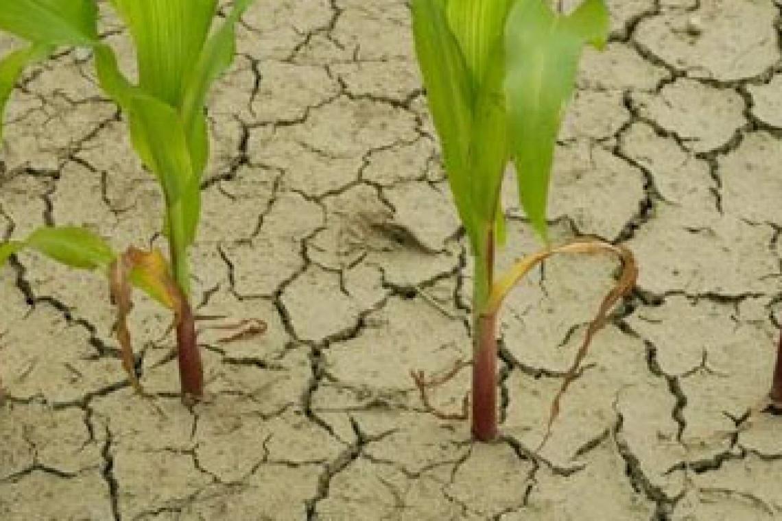 La Niña llega a la Argentina: se esperan fuertes sequías y un clima fuera de lo normal