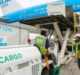 El Gobierno dio un paso más hacia el fin del monopolio de Intercargo