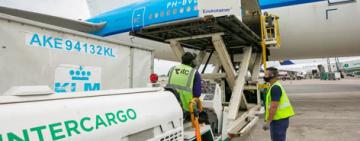 El Gobierno dio un paso más hacia el fin del monopolio de Intercargo