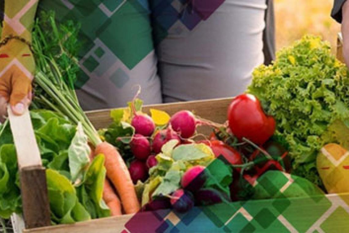 Los precios de los agroalimentos se multiplicaron 3,4 veces del campo a la góndola