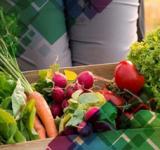 Los precios de los agroalimentos se multiplicaron 3,4 veces del campo a la góndola