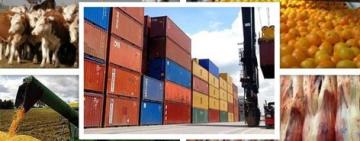 Exportaciones argentinas crecen un 20,6% en septiembre de 2024