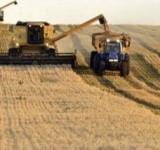 La Niña se "pincha" por el camino y el campo respira aliviado