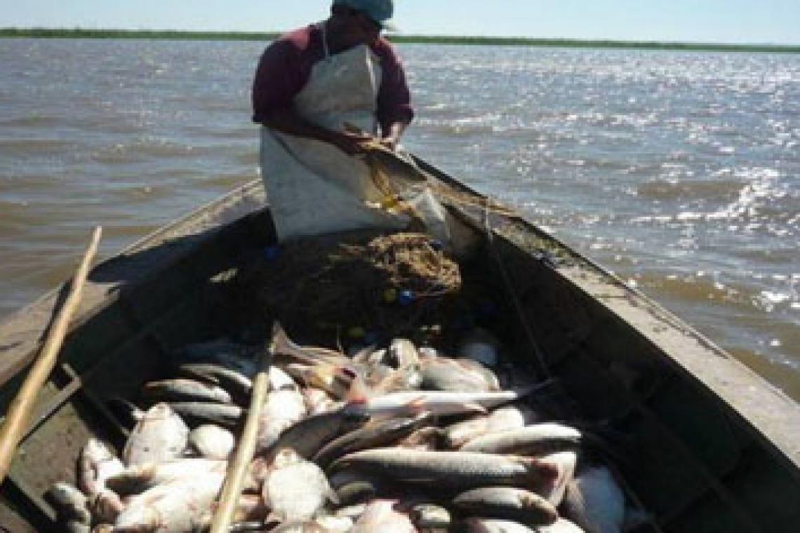 Santa Fe convoca a la Audiencia Pública Anual de Pesca