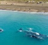 Es un paraíso escondido de la Patagonia que compite con las playas brasileñas.