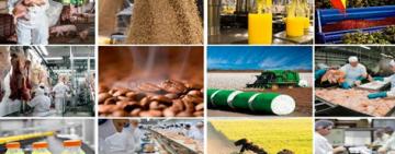 El sector agroindustrial exportó por US$ 9.637 millones en 2024