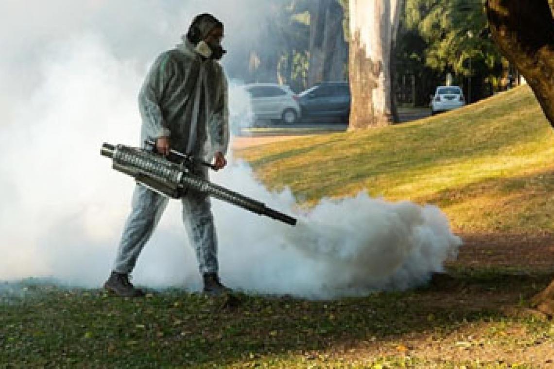 El municipio intensifica la fumigación en más de 60 parques, plazas y espacios verdes