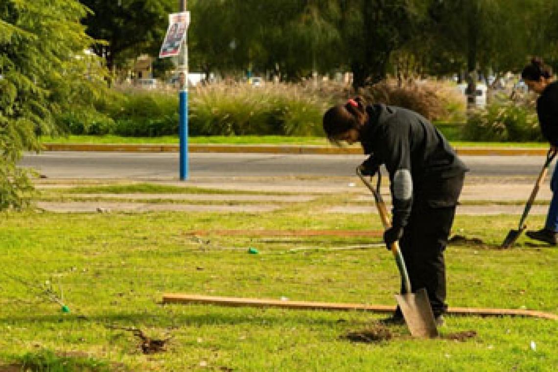 Se convoca a voluntarias y voluntarios a una masiva plantación de árboles en parque Italia