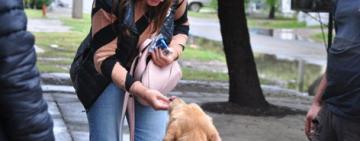 Día del animal