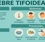 Brote de fiebre tifoidea en el AMBA: seis personas internadas, dos en estado grave