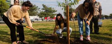 Convocan a voluntarias y voluntarios a una masiva plantación de árboles en el parque Scalabrini Ortiz