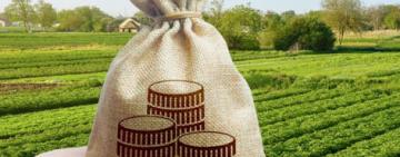 Baja de retenciones: ¿qué porcentajes quedan y qué productos alcanzan?