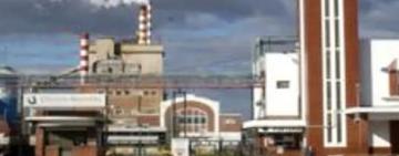 Vendieron la papelera Celulosa Argentina por US$ 1