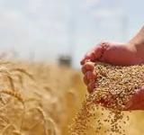 La Sociedad Rural de Rosario exige una baja inmediata de retenciones y reformas estructurales