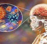 Día Mundial de la Meningitis: expertos advierten sobre la baja cobertura de vacunación