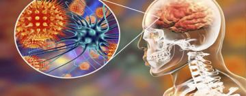 Día Mundial de la Meningitis: expertos advierten sobre la baja cobertura de vacunación