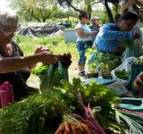 A puro sabor: se viene el cierre de la Semana de la Agricultura Urbana junto a Marcelo Megna