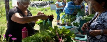 A puro sabor: se viene el cierre de la Semana de la Agricultura Urbana junto a Marcelo Megna