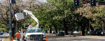 El municipio adjudicó el mantenimiento del alumbrado un 12% por debajo del presupuesto oficial